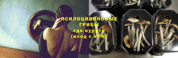 прущий лед Аркадак