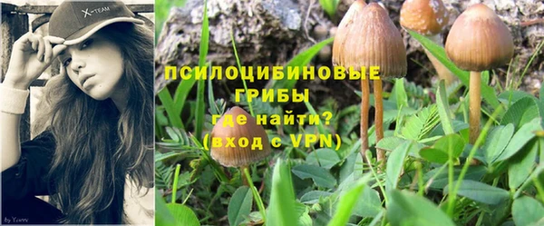 гидропоника Армянск