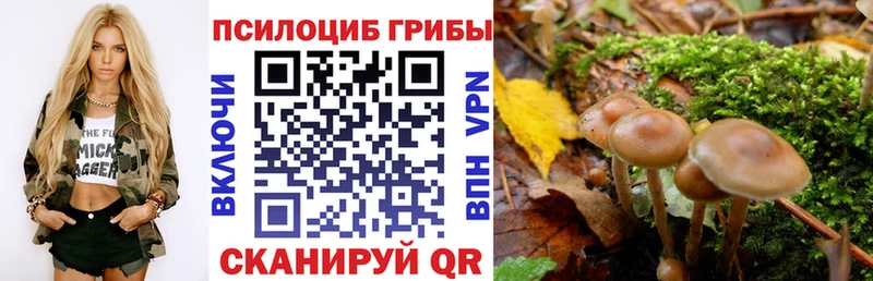 Галлюциногенные грибы Cubensis  мега   Талдом  купить наркотик 