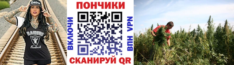 Бошки марихуана OG Kush  Талдом 